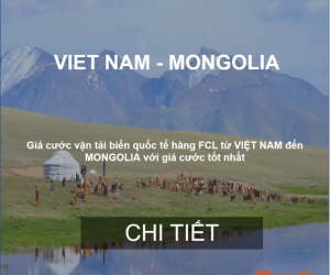 Cước Vận Chuyển Hàng Từ Việt Nam Sang Mongolia, Mông Cổ